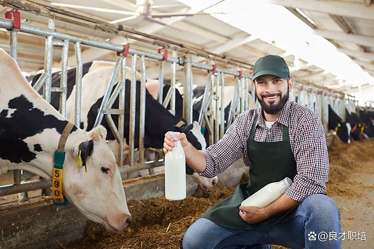 從豬圈到職場C位 家畜飼養員的逆襲之路